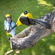 Best Commercial Tree Services  in Coldspring, TX